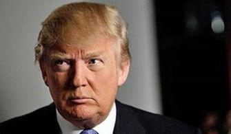 特朗普新闻爆料,揭秘政治风云背后的惊人内幕